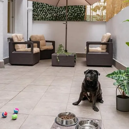 El Patio De Schulz