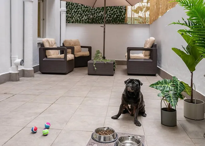 Apartamento El Patio De Schulz