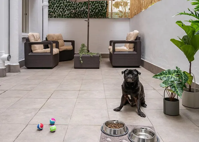 Apartamento El Patio De Schulz Gijón